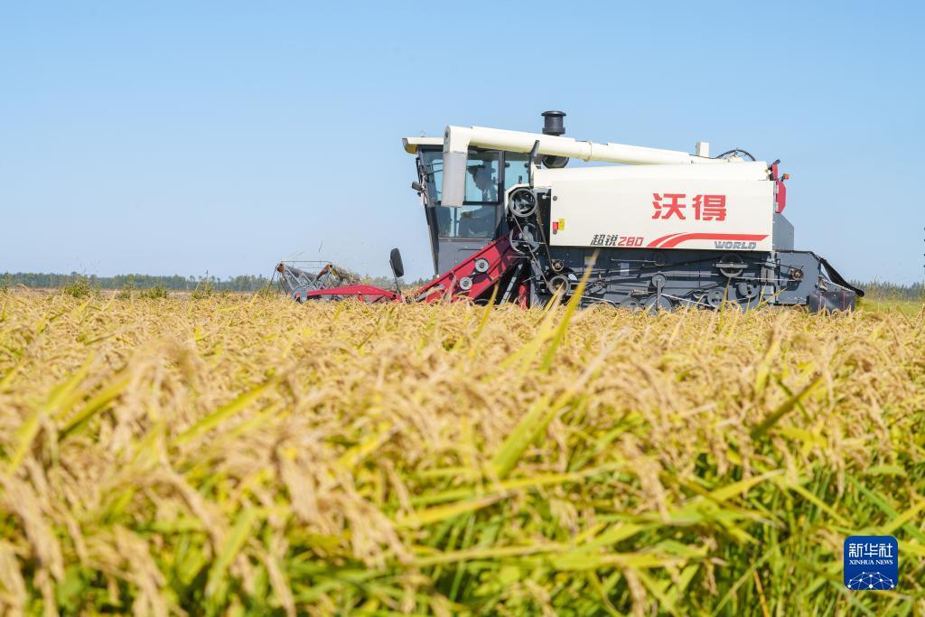澳门三合揽珠开奖最快
